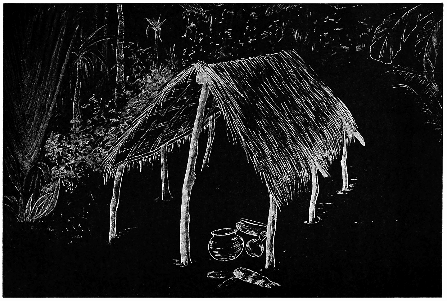 WHY SPIDERS ARE ALWAYS FOUND IN THE CORNERS OF CEILINGS