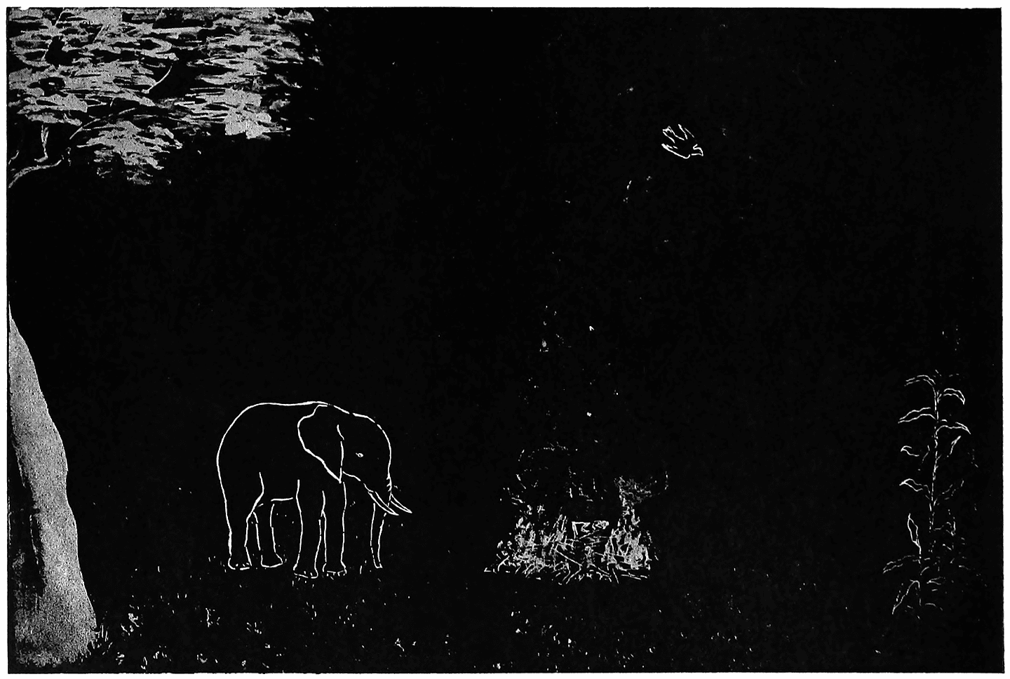 THE TAIL OF THE PRINCESS ELEPHANT