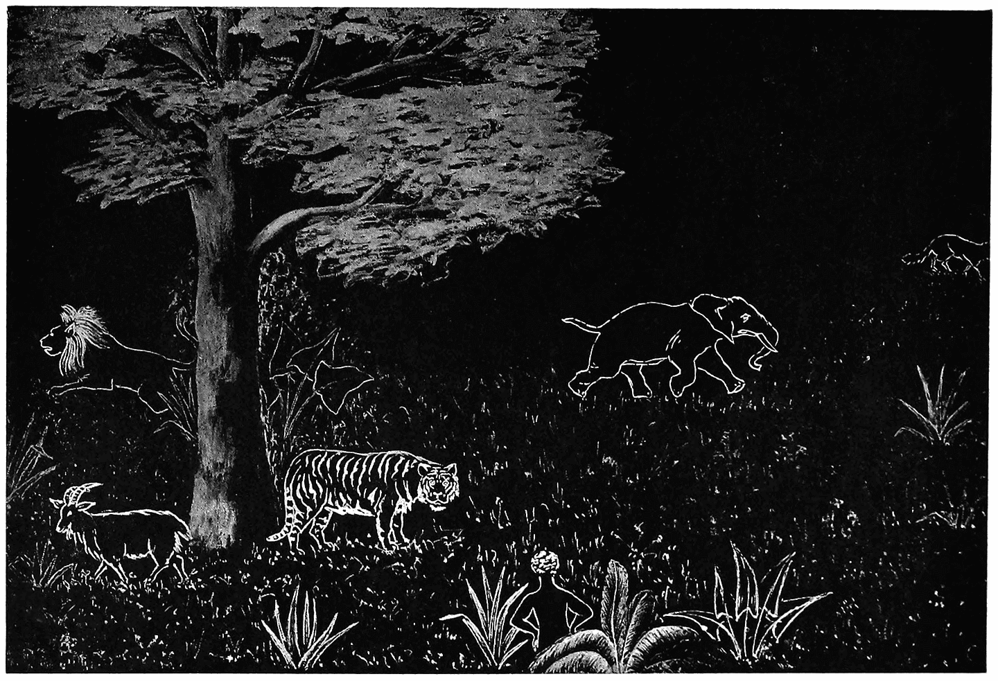 The Magical Mischief-Maker: How Quarcoo Bah-boni Scattered the Animal Kingdom