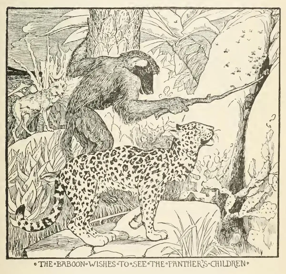 The Jackal, the Dove, and the Panther